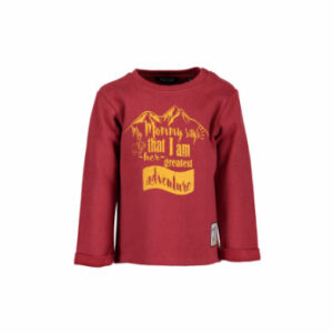 BLUE SEVEN Boys Sweatshirt dunkelrot