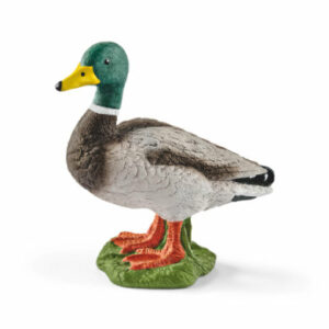 Schleich Erpel 13824