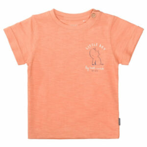 Staccato T-Shirt orange