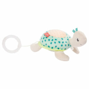 fehn® Mini-Spieluhr Schildkröte