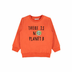 name it Boys Sweatshirt NMMLAPLANET Tigerlily