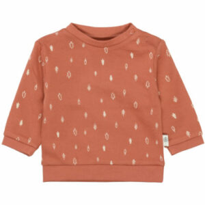 STACCATO Shirt rust gemustert