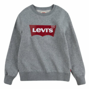 Levi's® Kids Sweatshirt grau