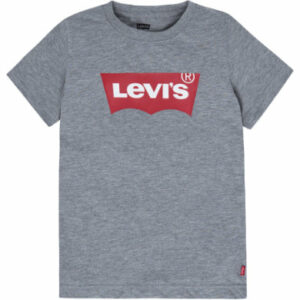 Levi's® Kids Boys T-Shirt grau
