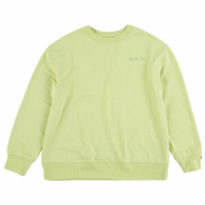 Levi's® Kids Sweatshirt Nile Green