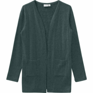 name it Cardigan NMFVICTI Darkest Spruce