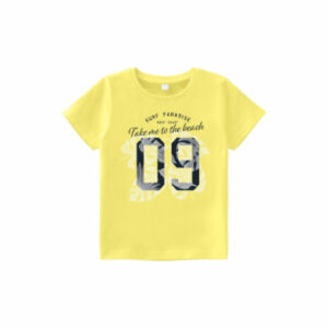 name it T-Shirt Nmmvagno Lemon Verbena