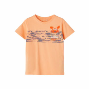 name it T-Shirt Nmmjaman Salmon Buff