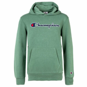 Champion Sweatshirt Grün