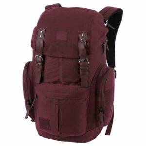 Nitro Daypacker - Rucksack 46 cm wine