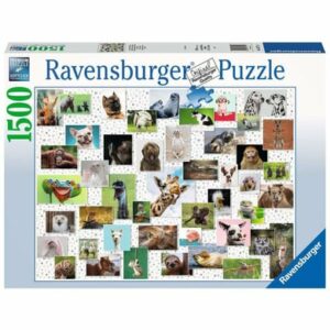 Ravensburger Funny Animals Collage bunt