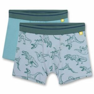 Sanetta Boxershort Grau/Türkis