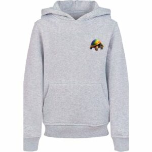 F4NT4STIC Hoodie Rainbow Turtle HOODIE UNISEX heather grey