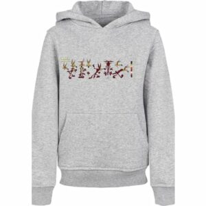 F4NT4STIC Hoodie Looney Tunes Colour Code heather grey