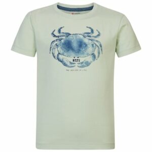 Noppies T-shirt Riverton Sea Foam